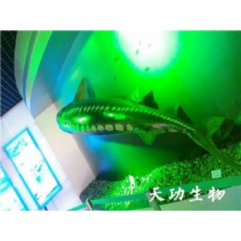 案例 (7)
