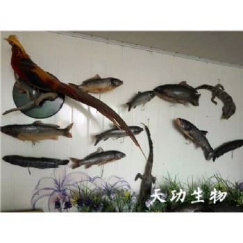 案例 (5)