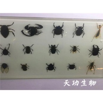 案例 (2)