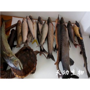 案例 (1)